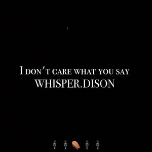 I DONT CARE WHAT YOU SAY （prod by 仕宗圣）