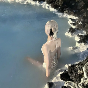 飞回来的鸽子一律按鸡处理