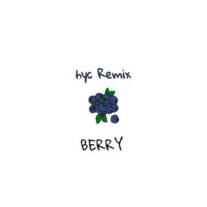 李佳隆-Berry remix（长门 remix）