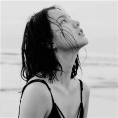 风月归你我归人海