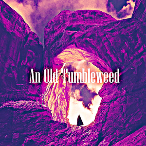 An Old Tumbleweed