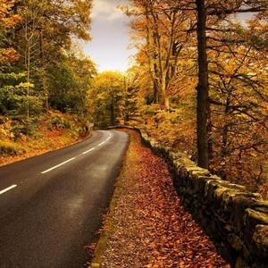 漠河舞厅（翻唱）