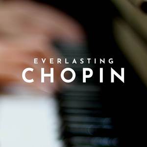 Piano Sonata No. 2 Bb minor, Opus 35 - 1st Movement