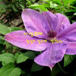 집으로 가는 길