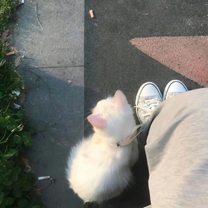 逐玉（原来人真正高兴起来心里是会响的）