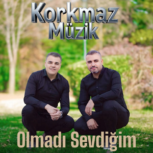 Olmadı Sevdiğim