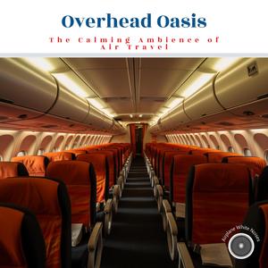 Airplane White Noise Sounds