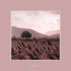 거짓말이 싫어요