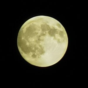 《将泪水藏进雨里》