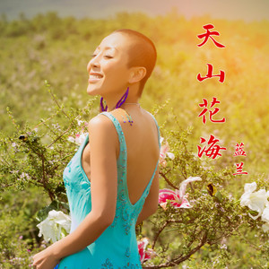 天山花海 (伴奏)