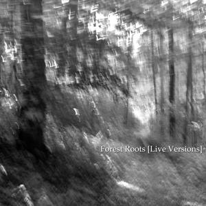 Im Gebirge (Wandered Moments Live Version)