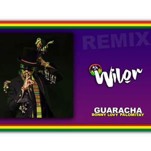 Palomitay (DJ Wilor Remix)