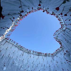 我想要变成逆蝶