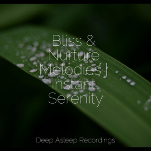Sage Sounds