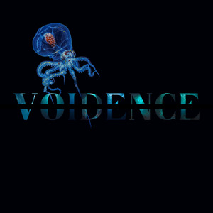 Voidence