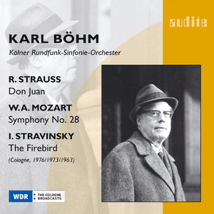 Symphony No. 28 in C Major, KV 200: Andante