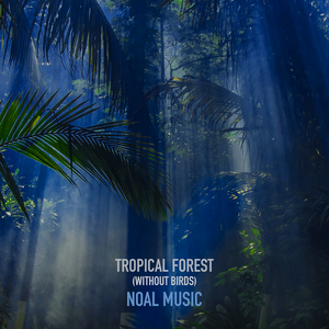 Tropical Forest (Without Birds)