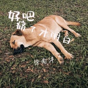 好吧 痛了才明白