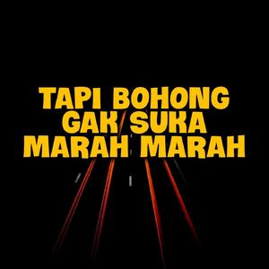 Tapi Bohong Gak Suka Marah Marah (Remix)