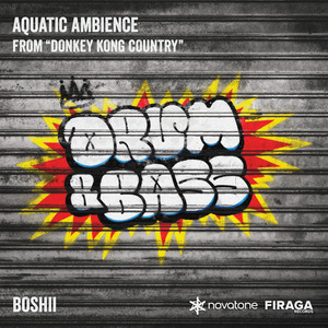 Aquatic Ambience (from "Donkey Kong Country") (Drum & Bass Version)