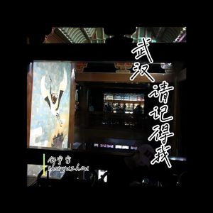 武汉请记得我