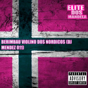 BERIMBAU VIOLINO DOS NORDICOS
