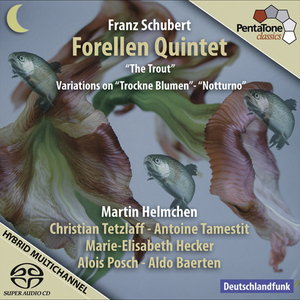 Introduction and variations (on Trockne Blumen from Die schöne Müllerin), Op. 160, D. 802:Variation 7: Allegro