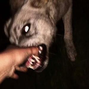 FruITs 丨（翻自 ADILJAN）