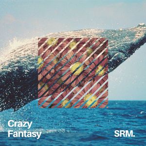 Crazy Fantasy
