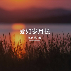 爱如岁月长 伴奏