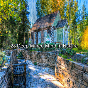 Reborn In Nature