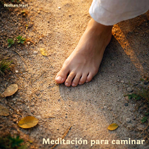 Meditación Para Caminar