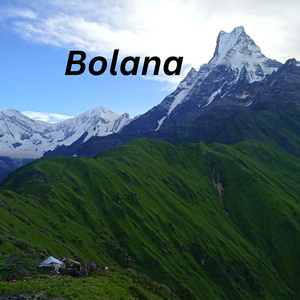 Bolana