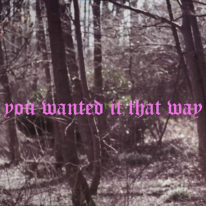 you wanted it that way