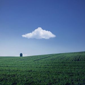 没有如果 (烟嗓版)