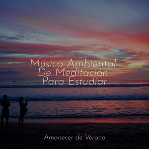 Lamento melancólico del amanecer brumoso