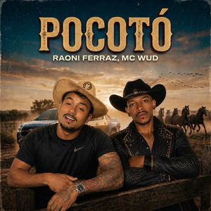 Pocotó
