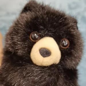 少年维特的烦恼