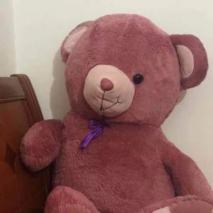 满目星辰皆是你