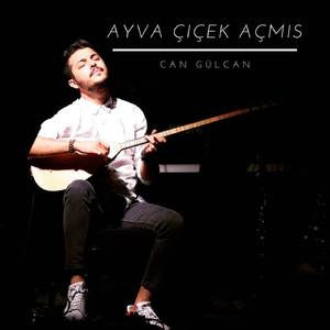 Ayva Çiçek Açmış