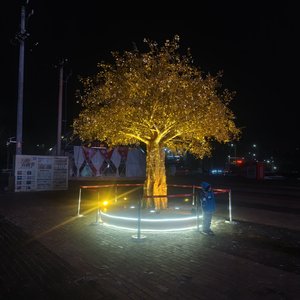 结婚现场，我喜欢你