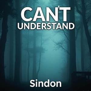 CAN'T UNDERSTAND