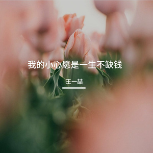 我的小心愿是一生不缺钱