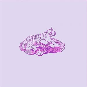 lucid dreams
