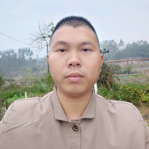 新年欢歌(国语版)