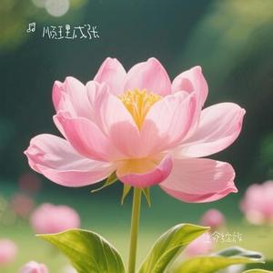 生命赞歌