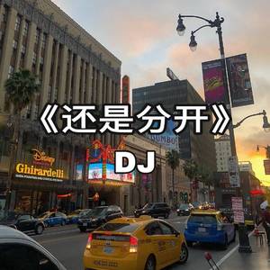 还是分开 (DJ)