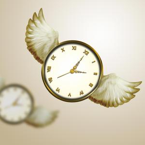 Time Flies (VIP Mix)