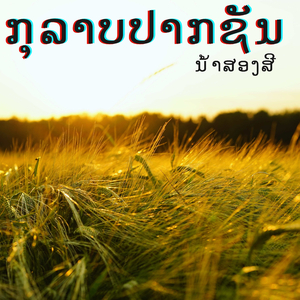 ກຸລາບປາກຊັນ