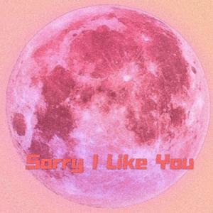 sorry i like you